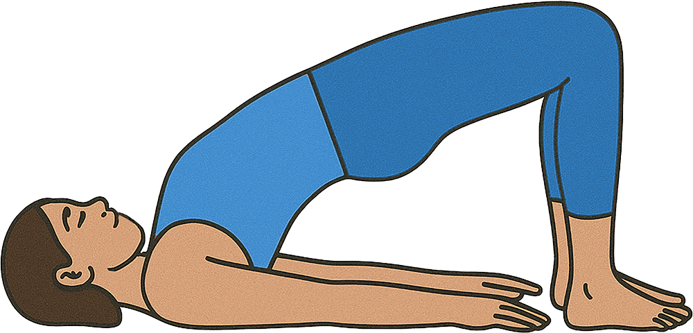 Bridge Yoga Pose