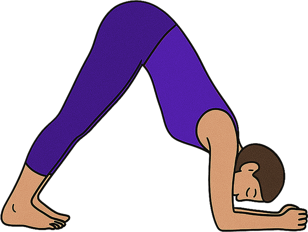 Dolphin Yoga Pose